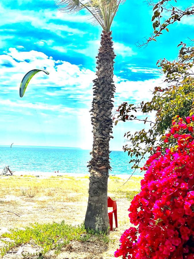 Windsurf Beach Front توري غراندي المظهر الخارجي الصورة