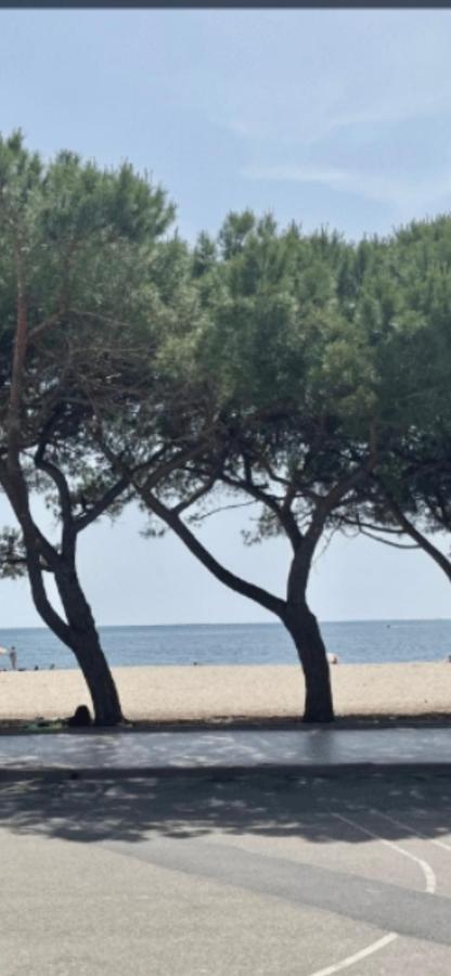 Windsurf Beach Front توري غراندي المظهر الخارجي الصورة
